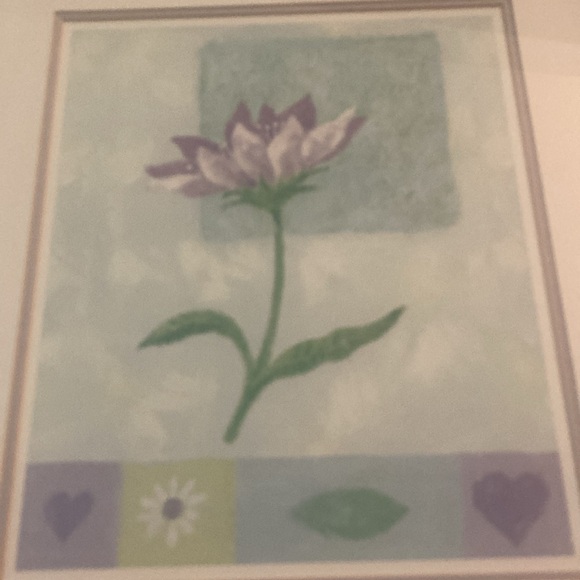 New - 4 Delightful Dais Flower Wood Framed Pictures - Picture 7 of 12